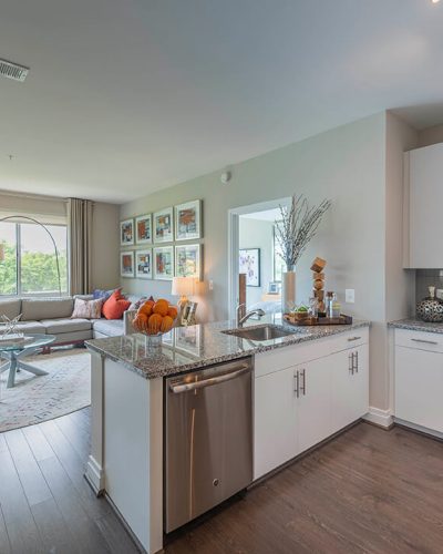 Unit Kitchen and Living room